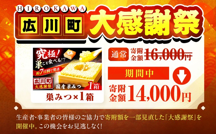 国産巣みつ 300g 蜂蜜 はちみつ ハチミツ