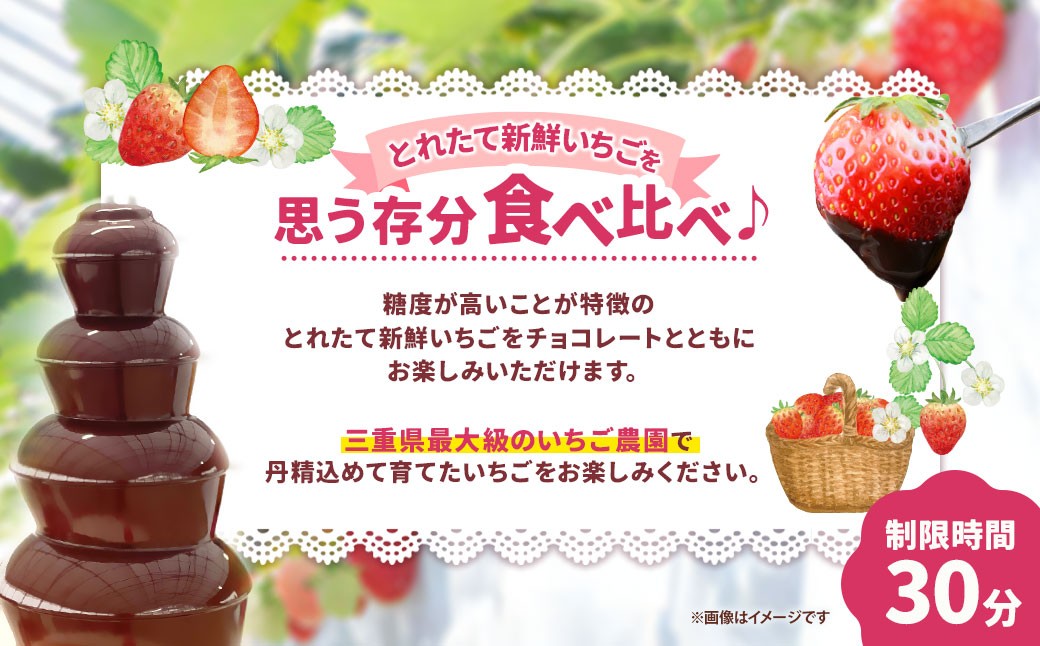 多度グリーンファーム いちご狩り体験 2名様