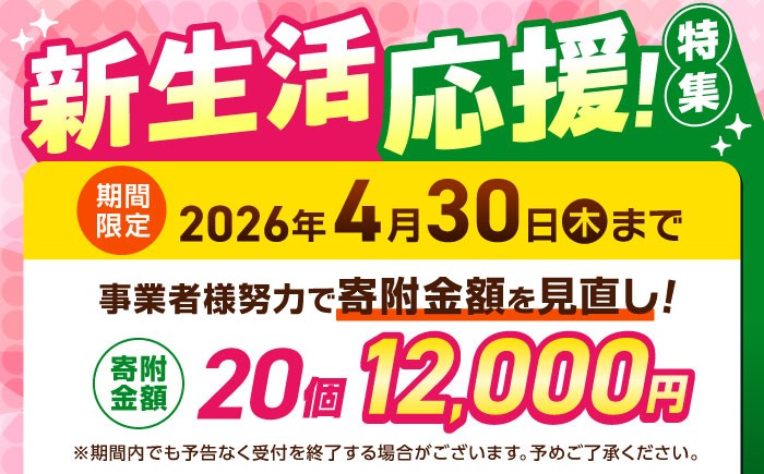 いきなり団子 約100g×20個入