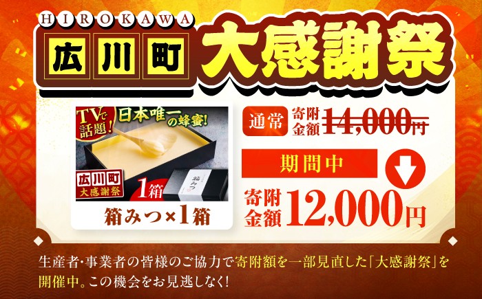 箱みつ ハチミツ はちみつ 蜂蜜 ハニー