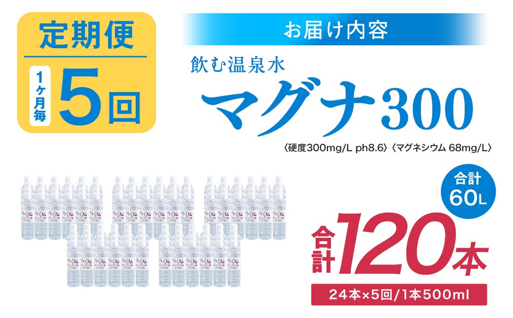 【1ヶ月毎5回定期便】 硬水ミネラルウォーターマグナ300 500ml 計120本 （24本×5回）