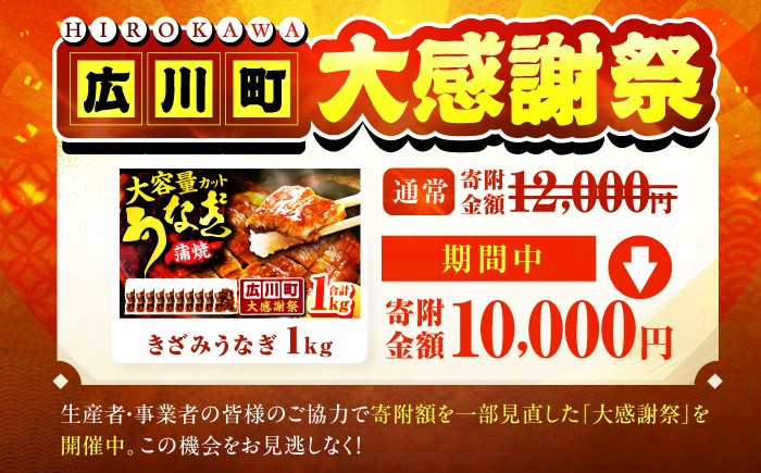 うなぎ ウナギ 鰻 パック 小分け 1キロ