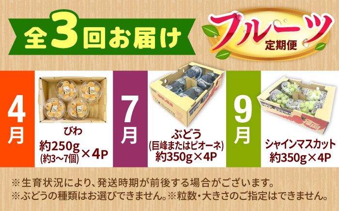 果物 フルーツ定期便 びわ ぶどう シャインマスカット