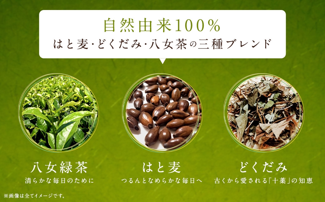  どくどくするりん八女茶 （森のこかげ） 3g×100P