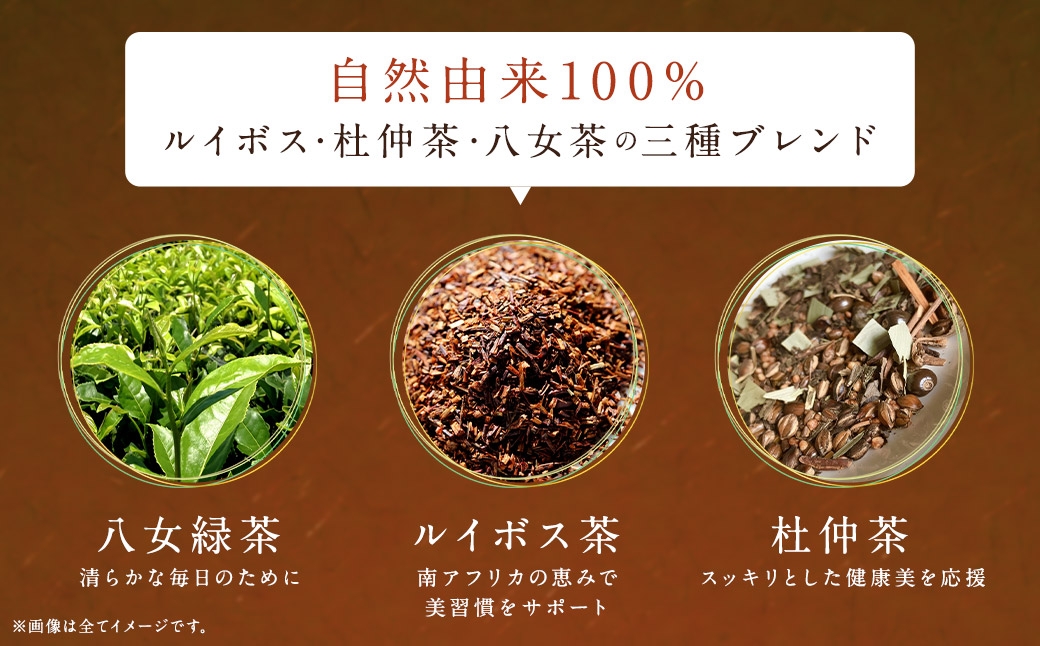 お肌うっとり八女茶（森のこかげ） 3g×100P 