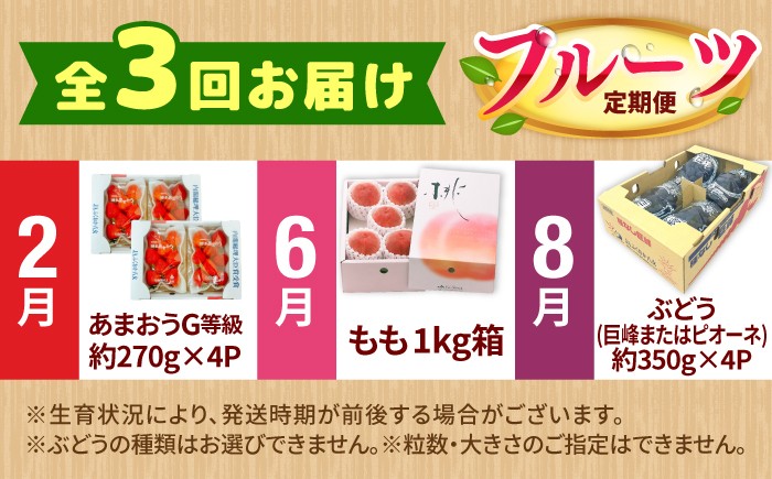 果物 フルーツ イチゴ ブドウ モモ