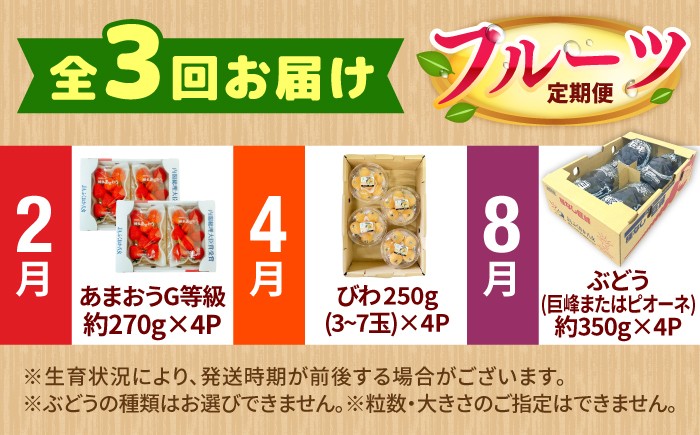 果物 フルーツ定期便。いちご びわ ぶどう