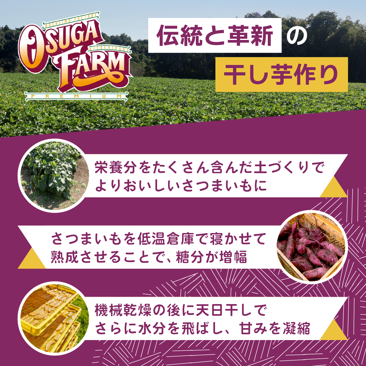 ほしいも 干しいも 小分け 紅はるか べにはるか さつまいも 平干し 丸干し