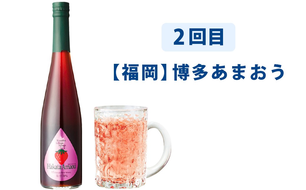 【3ヶ月定期便】九州を飲む！毎月届く九州果実シロップ