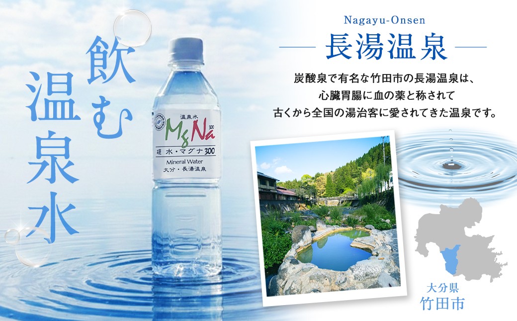 【2ヶ月毎5回定期便】 硬水ミネラルウォーターマグナ300 500ml 計120本 （24本×5回）