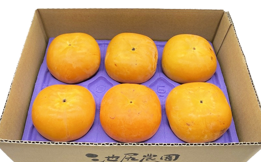 福岡県ブランド柿 秋王 5～7玉 約1.8kg 種無し