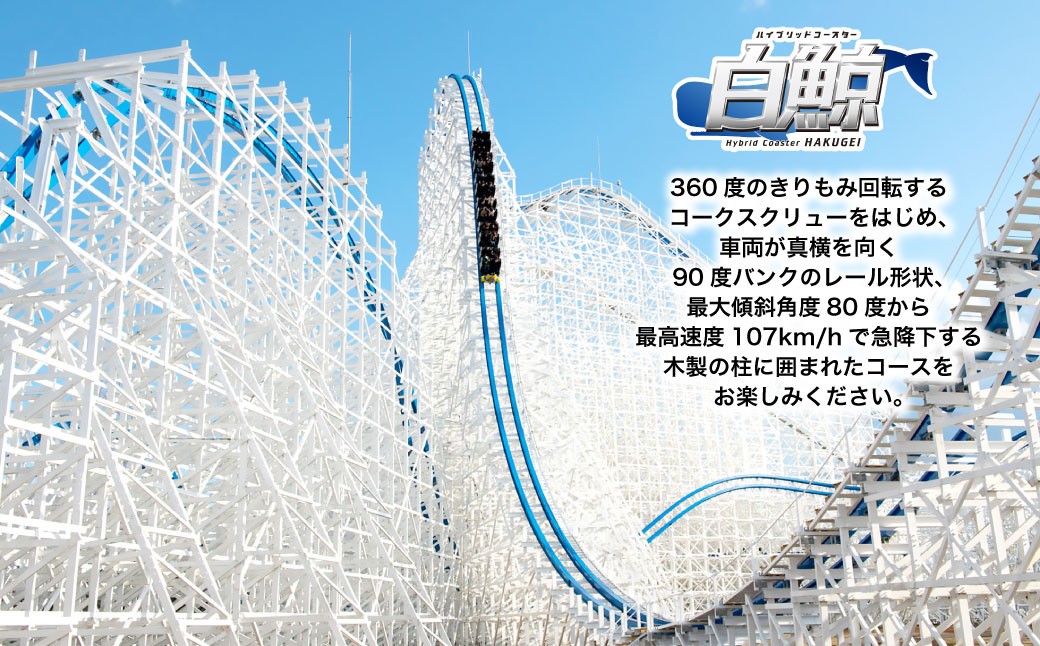 ナガシマリゾート ナガシマスパーランド入場券 および ジャンボ海水プール券（大人2名様分）