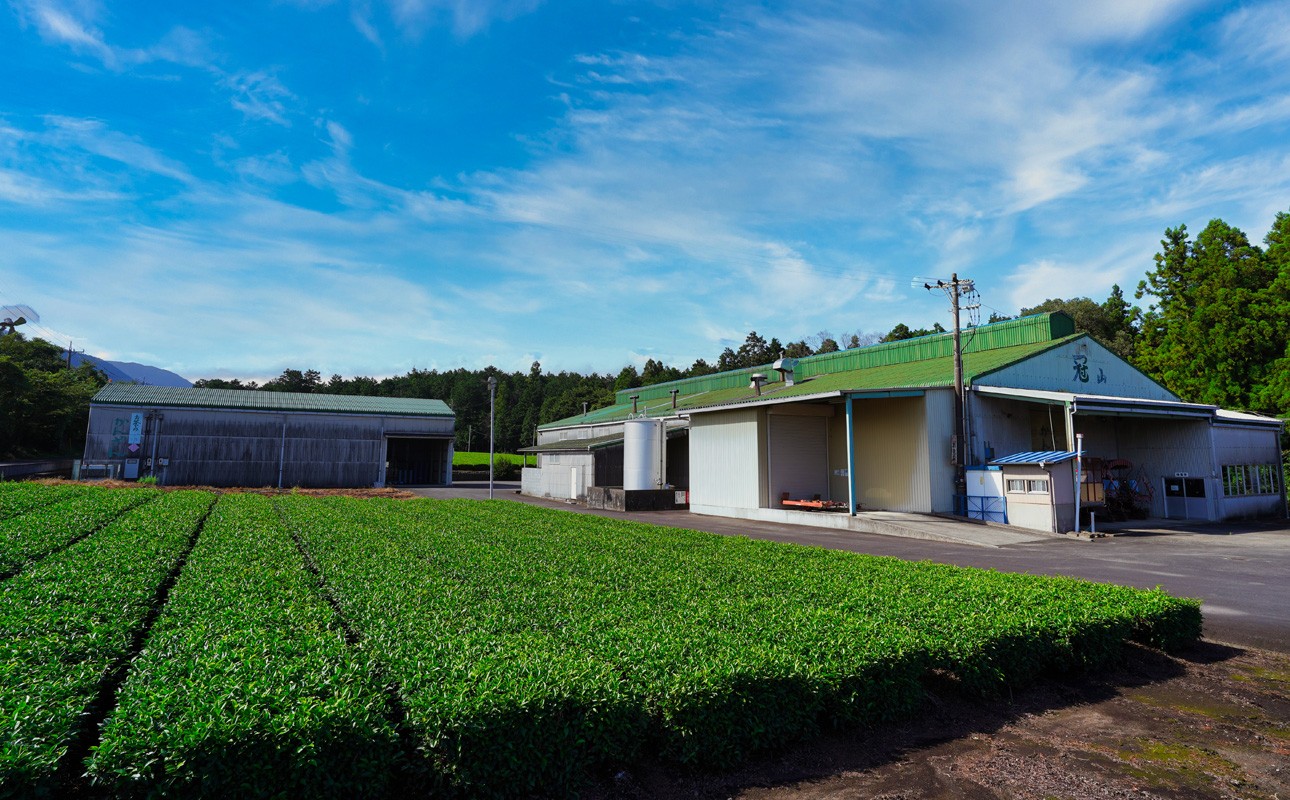 アジアギャップ認証工場である　専属製茶工場「冠山」
