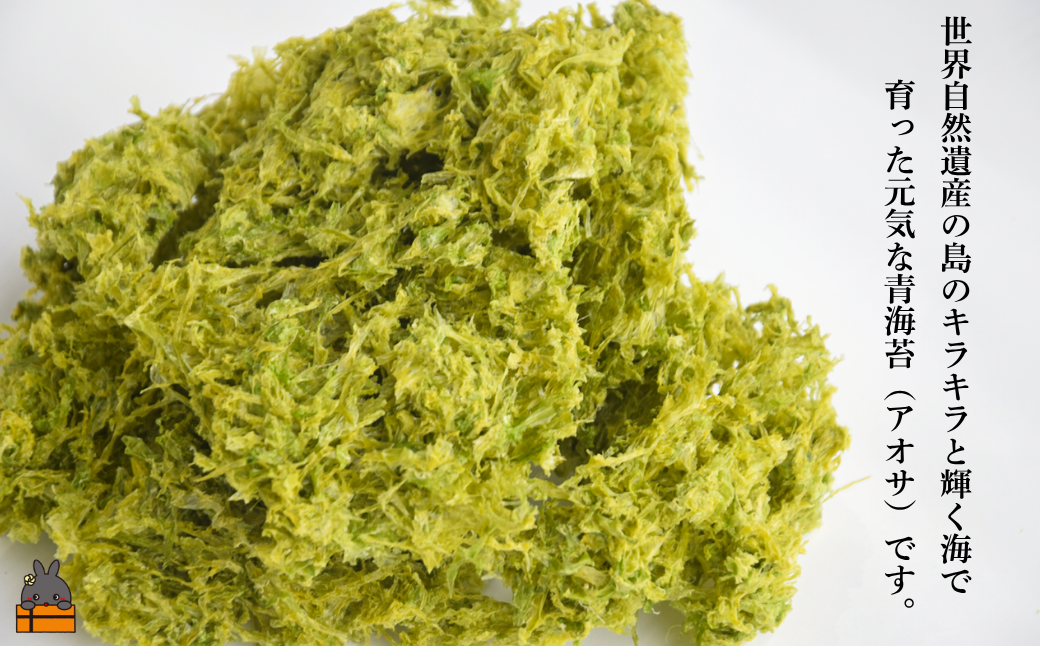 世界自然遺産の島の綺麗な海で元気に育ちました。