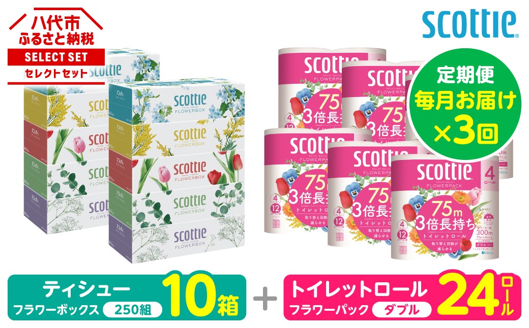 【定期便3回】【毎月1回お届け】【スコッティ】ティシュー フラワーボックス＋フラワーパック 3倍長持ち（ダブル）