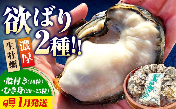 牡蠣 生食 むき身 殻付き かき カキ 生牡蠣 広島牡蠣 オイスター kaki