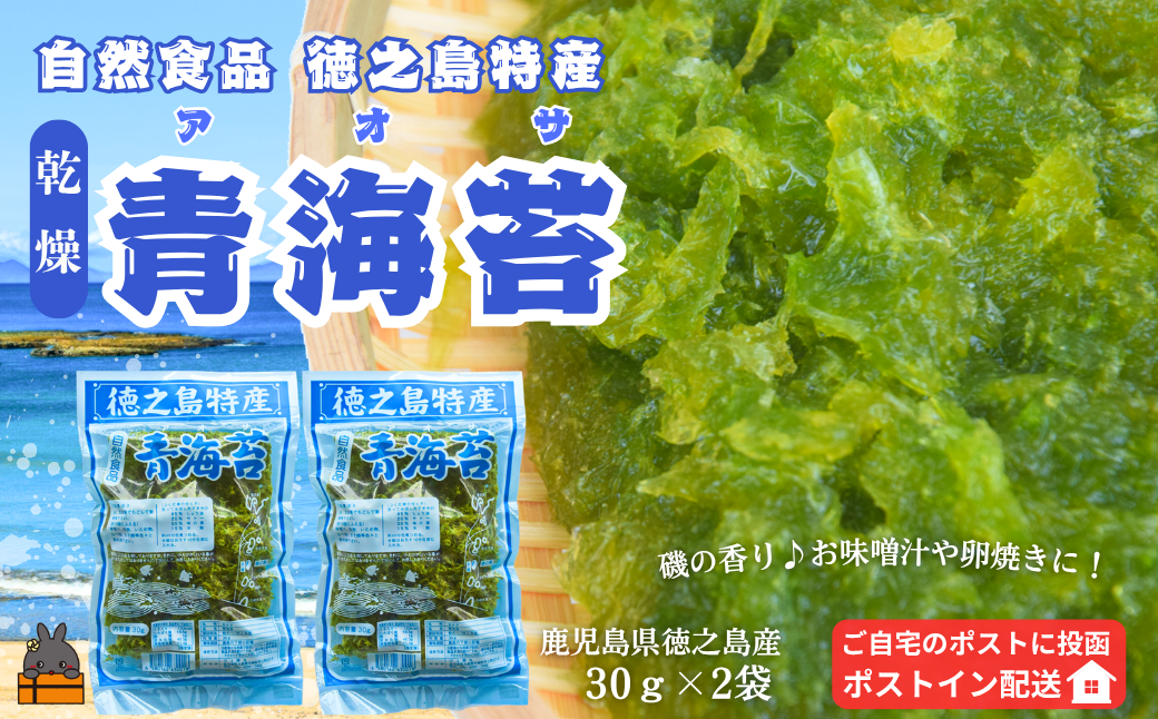 収穫したばかりの新鮮な徳之島の青海苔（アオサ）です！