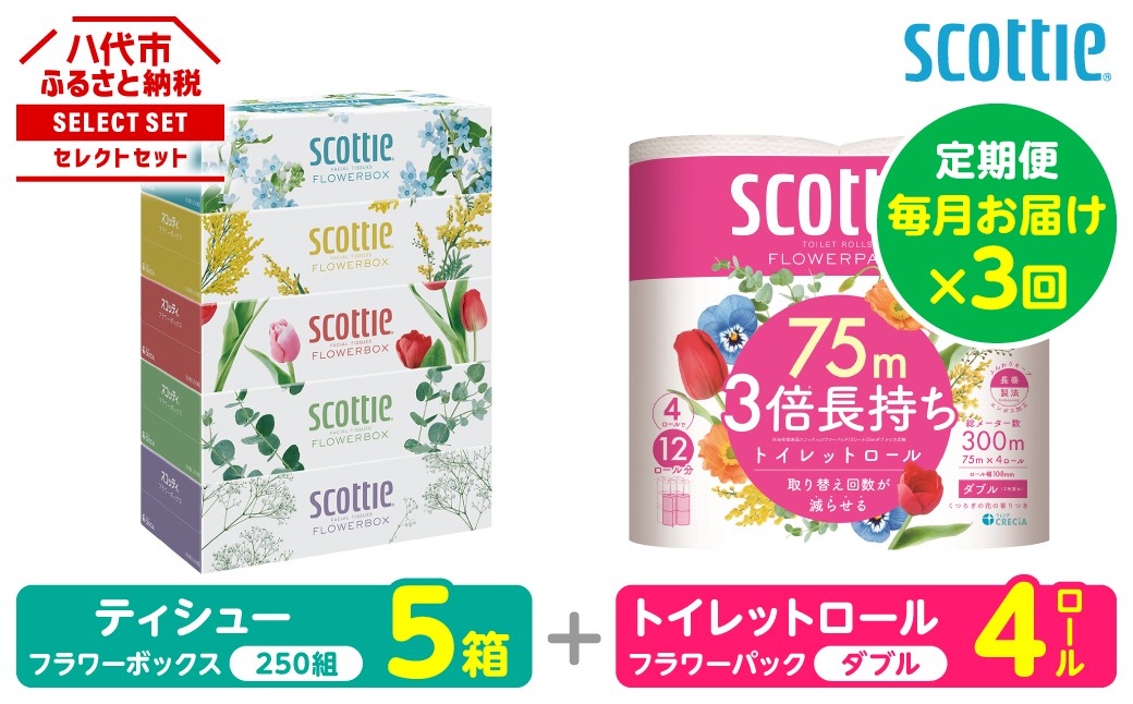 【定期便3回】【スコッティ】ティシュー フラワーボックス 5箱＋トイレットロール ダブル フラワーパック 3倍長持ち 4ロール