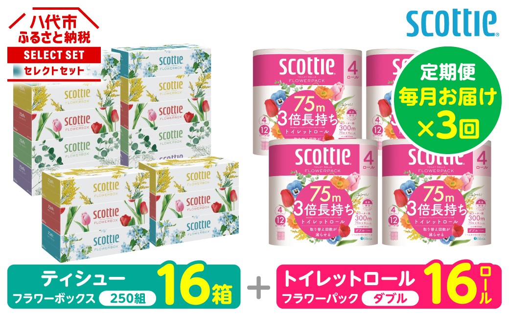 【定期便3回】【毎月1回お届け】【スコッティ】ティシュー フラワーボックス＋フラワーパック 3倍長持ち（ダブル）