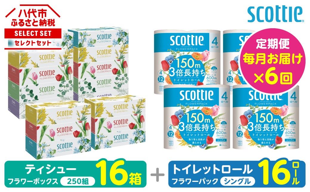 【定期便6回】【毎月お届け】【スコッティ】ティシュー フラワーボックス＋フラワーパック 3倍長持ち（シングル）