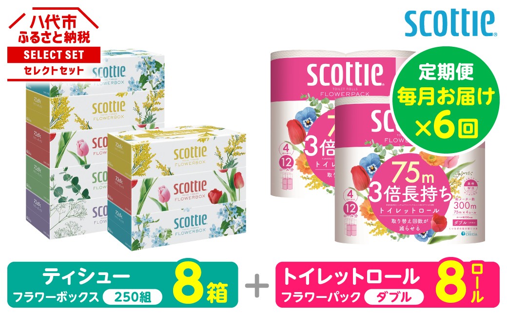 【定期便6回】【毎月お届け】【スコッティ】ティシュー フラワーボックス＋フラワーパック 3倍長持ち（ダブル）