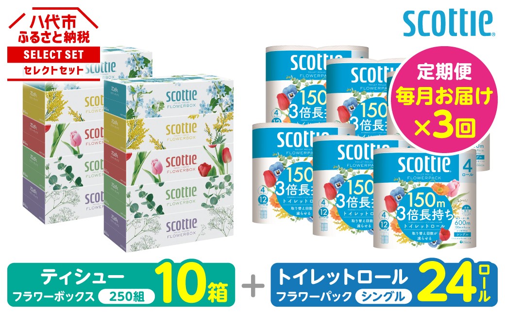 【定期便3回】【毎月1回お届け】【スコッティ】ティシュー フラワーボックス＋フラワーパック 3倍長持ち（シングル）