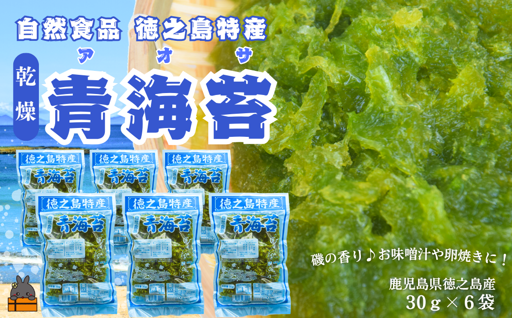 収穫したばかりの新鮮な徳之島の青海苔（アオサ）です！