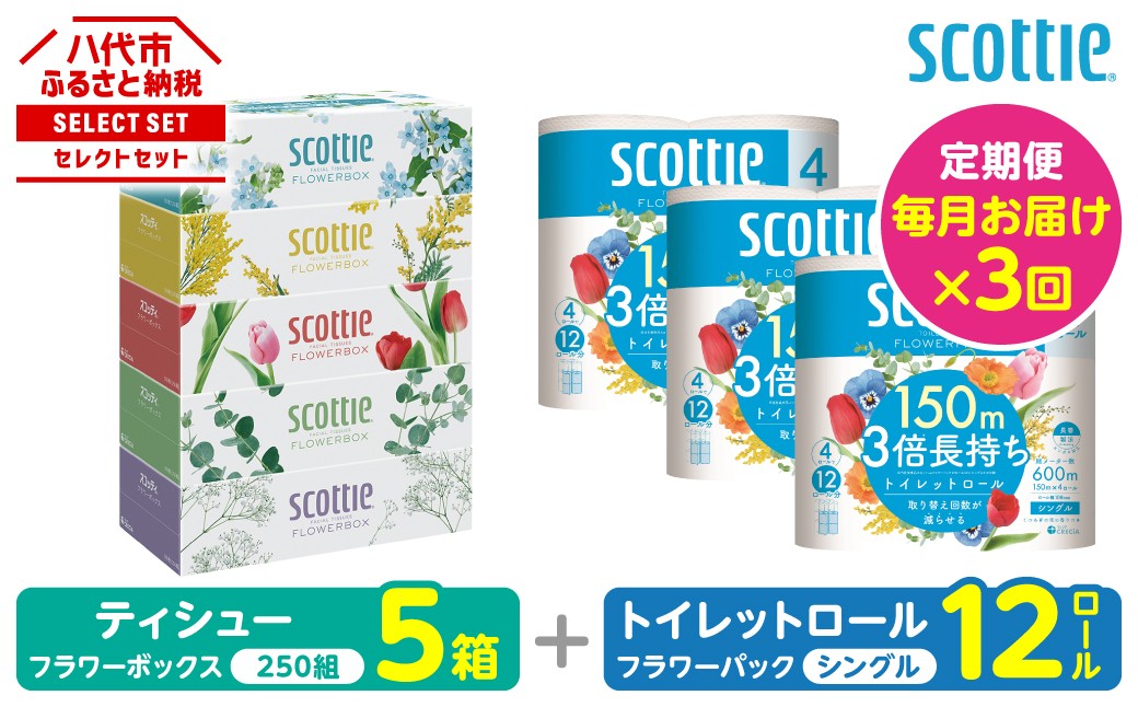 【定期便3回】【毎月1回お届け】【スコッティ】ティシュー フラワーボックス＋フラワーパック 3倍長持ち（シングル）