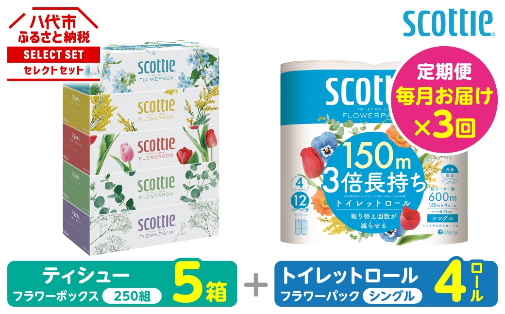 【定期便3回】【スコッティ】ティシュー フラワーボックス 5箱＋トイレットロール シングル フラワーパック 3倍長持ち 4ロール
