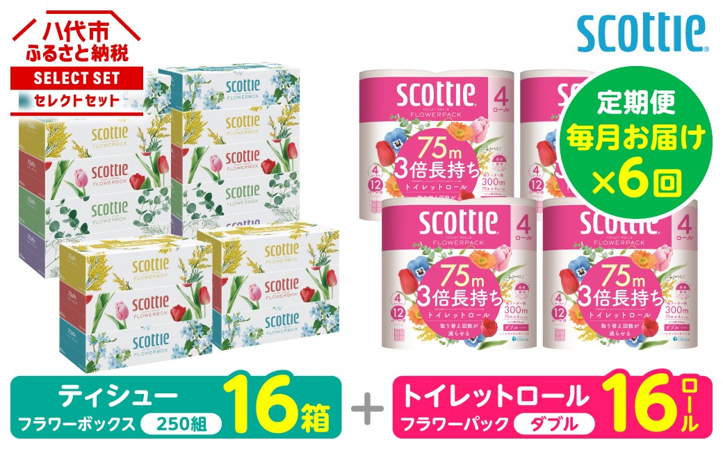 【定期便6回】【毎月お届け】【スコッティ】ティシュー フラワーボックス＋フラワーパック 3倍長持ち（ダブル）