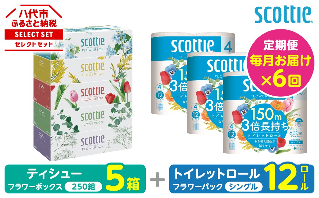 ティシュー フラワーボックス 250組 5箱パック×1セット＋フラワーパック 3倍長持ち4ロール（シングル）4パック ×3セット