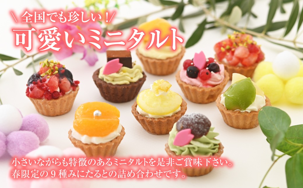 春のみにたるとアソート 9個入り