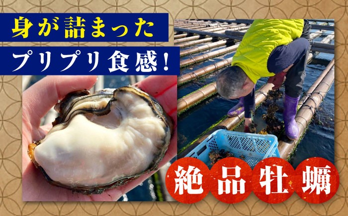 牡蠣 生食 むき身 殻付き かき カキ 生牡蠣 広島牡蠣 オイスター kaki