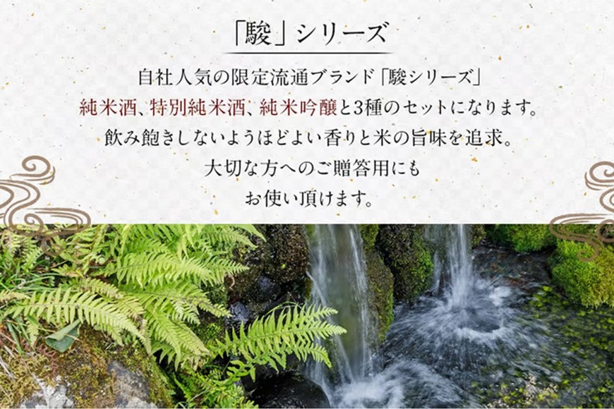 いそのさわ 駿 (純米酒 720ml)