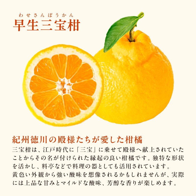 【2027年発送 先行予約品】