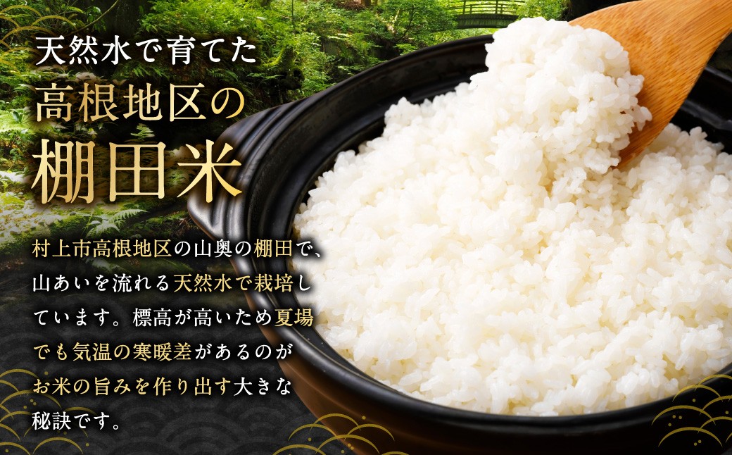 【令和7年産米】新潟県村上市岩船産　棚田米コシヒカリ「たかねの花」10kg