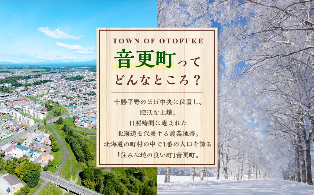 志ほせ饅頭 30個入【A103】 和菓子 塩瀬総本家