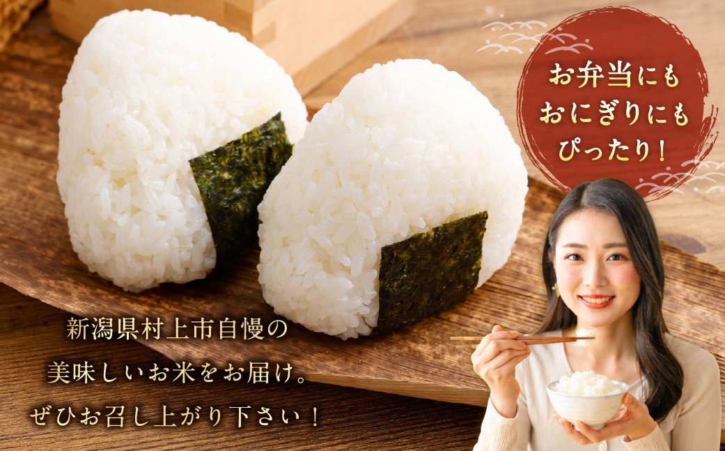 【令和7年産米】【定期便：6ヶ月連続でお届け】新潟県村上市岩船産 棚田米コシヒカリ「たかねの花」 5kg×6ヶ月