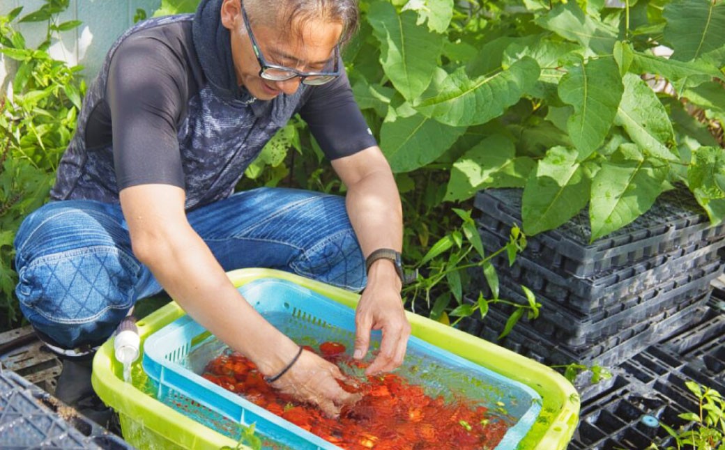 野菜ソムリエサミット金賞受賞！ なまらトマトジュース