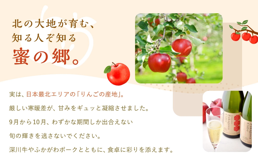 北海道深川市産 りんご（つがる） 10kg