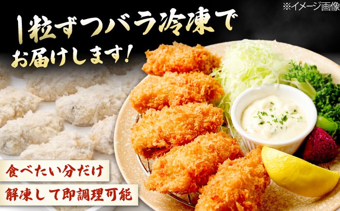 牡蠣フライ かき カキ カキフライ 広島牡蠣 オイスター kaki 広島県産
