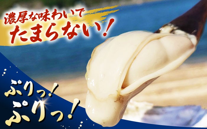 牡蠣 むき身 冷凍 かき カキ 広島牡蠣 オイスター kaki 広島県産