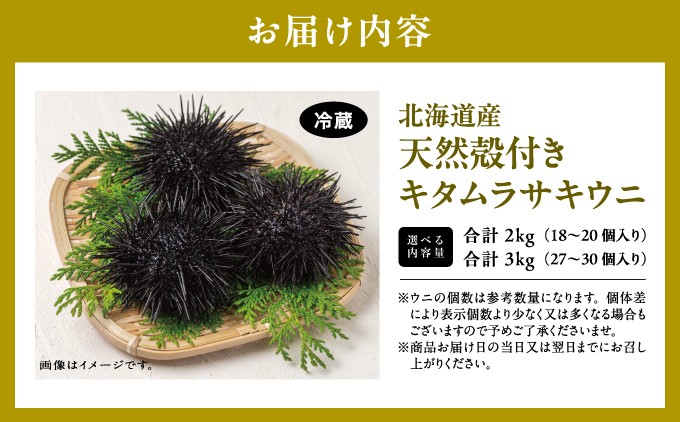 【厳選】松前が誇る極上の天然キタムラサキウニ。殻付きならではの鮮度と濃厚な甘み。 | 北海道 松前町 ふるさと納税