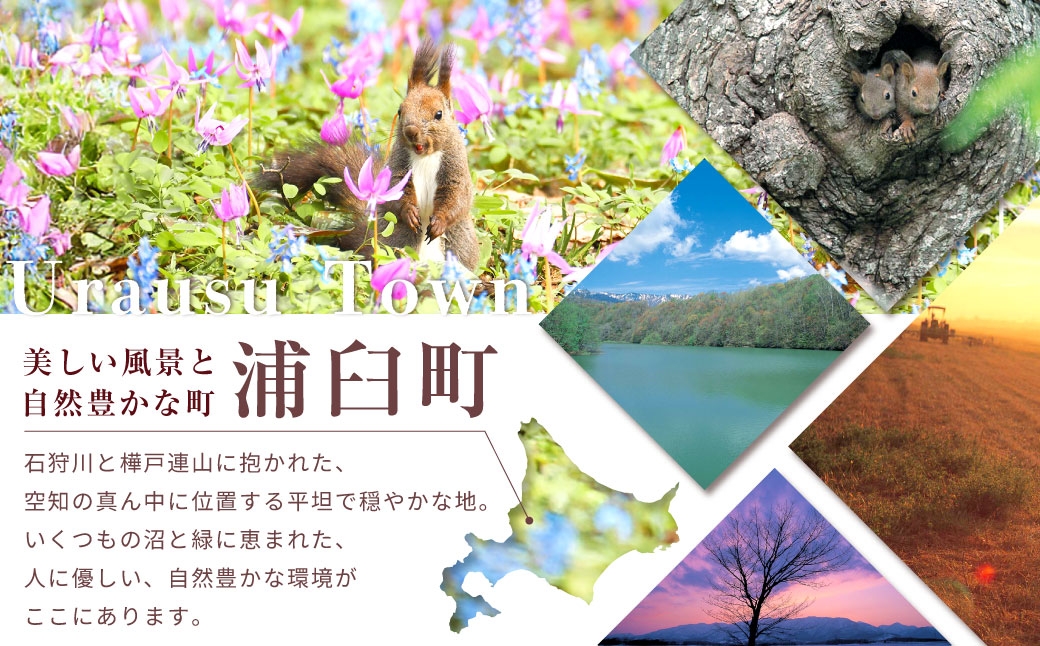 北海道サイダー スパークリングトマト 3本セット