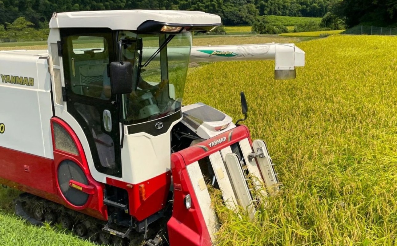 収穫は大型のコンバインで行います