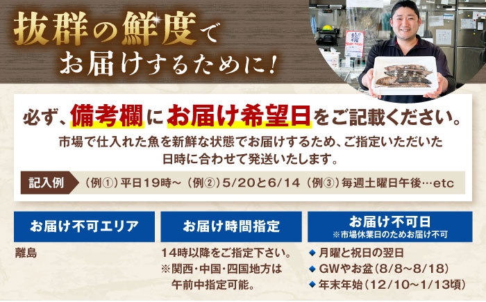 ＜12回定期便＞違いの分かる鮮魚店店長が送る 高知のお魚定期便！！