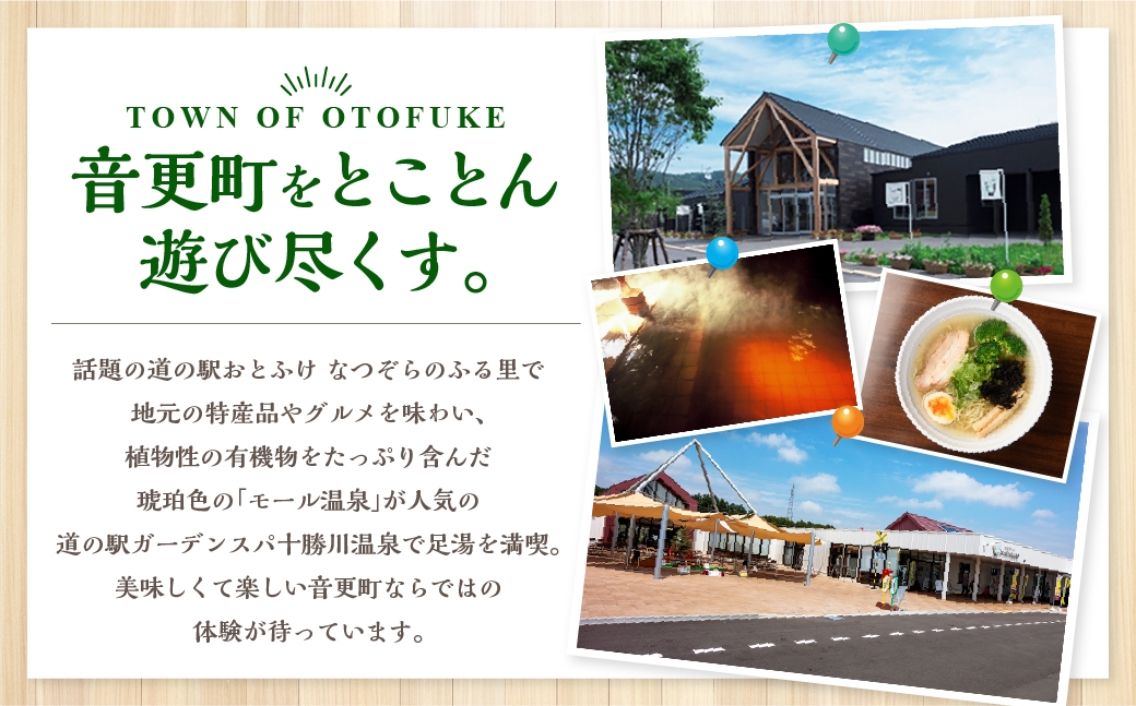 志ほせ饅頭 9個入【B124】 和菓子 塩瀬総本家