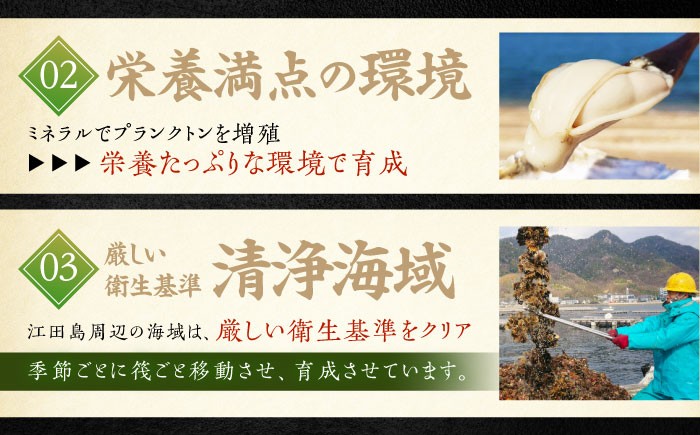 牡蠣フライ かき カキ カキフライ 広島牡蠣 オイスター kaki 広島県産