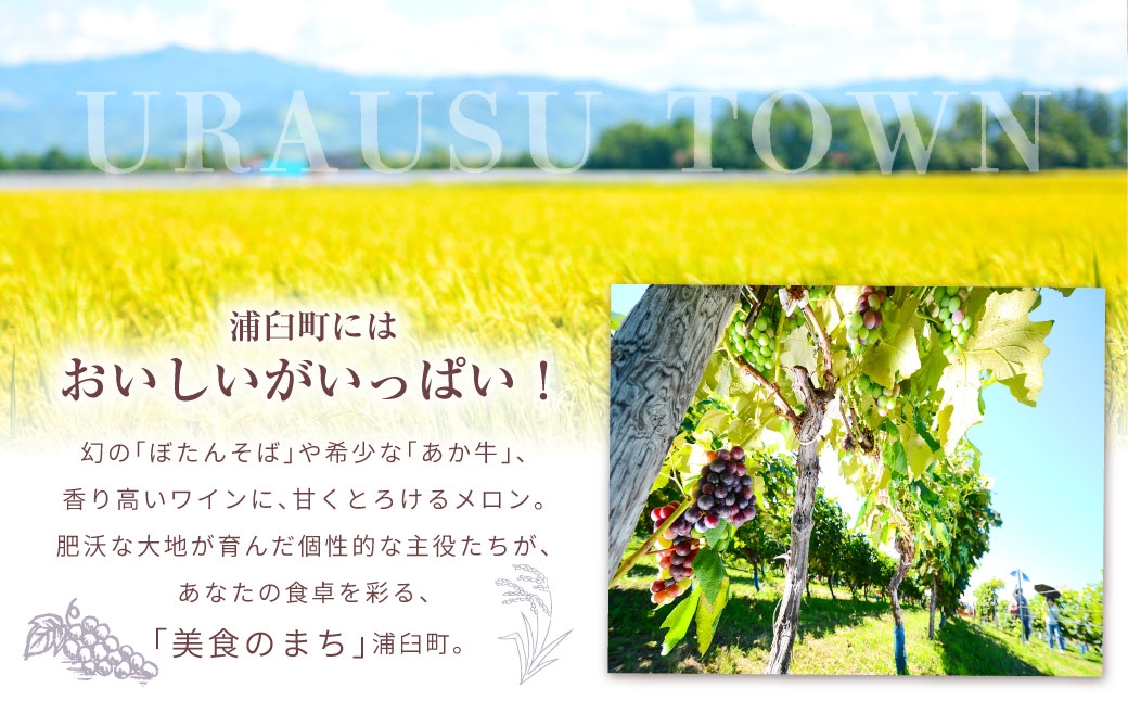 【3回定期便】 北海道サイダー スパークリングトマト 15本セット×3回 計45本