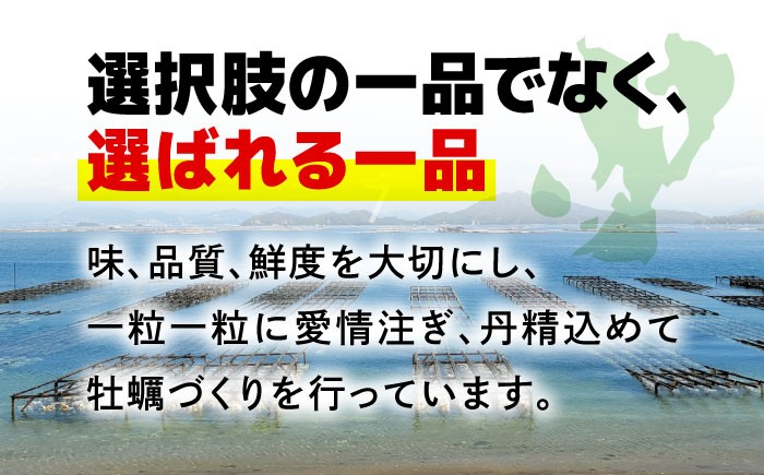 牡蠣フライ かき カキ カキフライ 広島牡蠣 オイスター kaki 広島県産